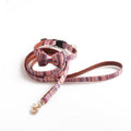 Bowtiful Pet Collar - Stylish And Comfortable Collar For Small Dogs And Cats
