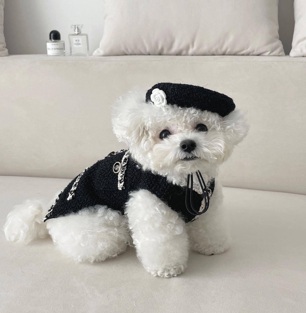 Cozy Knit Pet Hat - Stylish And Warm Headwear For Dogs And Cats