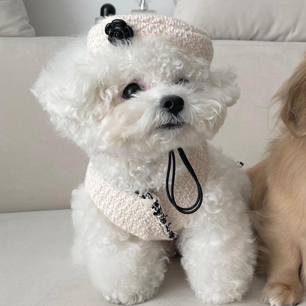 Cozy Knit Pet Hat - Stylish And Warm Headwear For Dogs And Cats