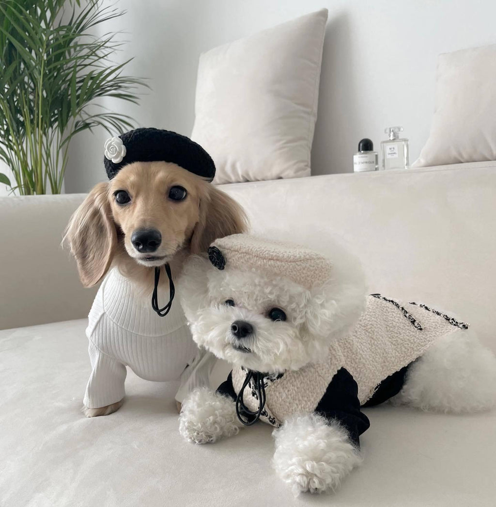 Cozy Knit Pet Hat - Stylish And Warm Headwear For Dogs And Cats